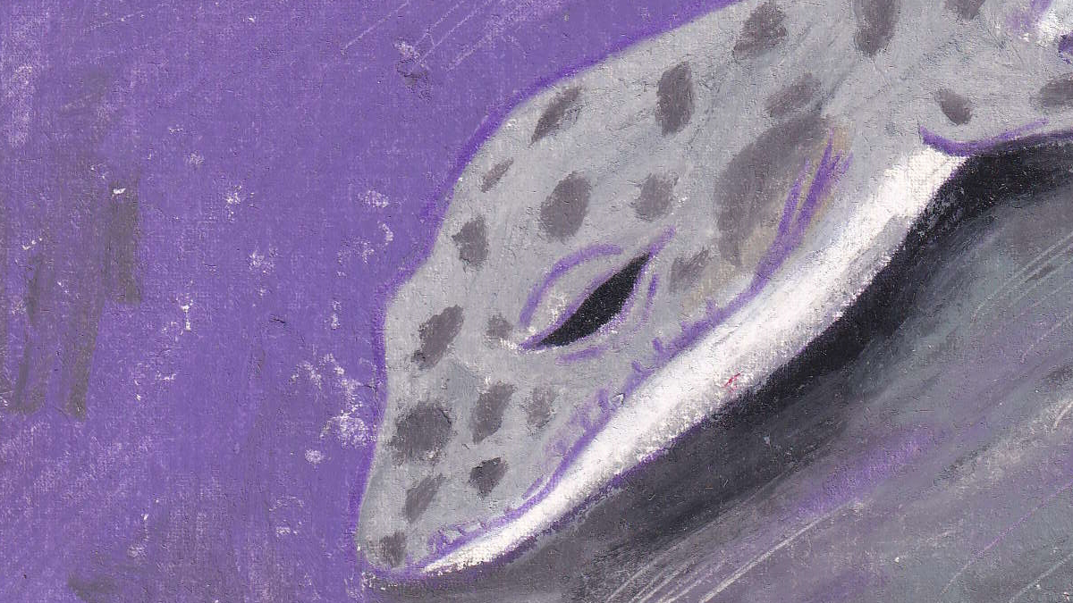 学生设计作品