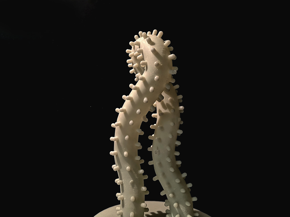 学生设计作品
