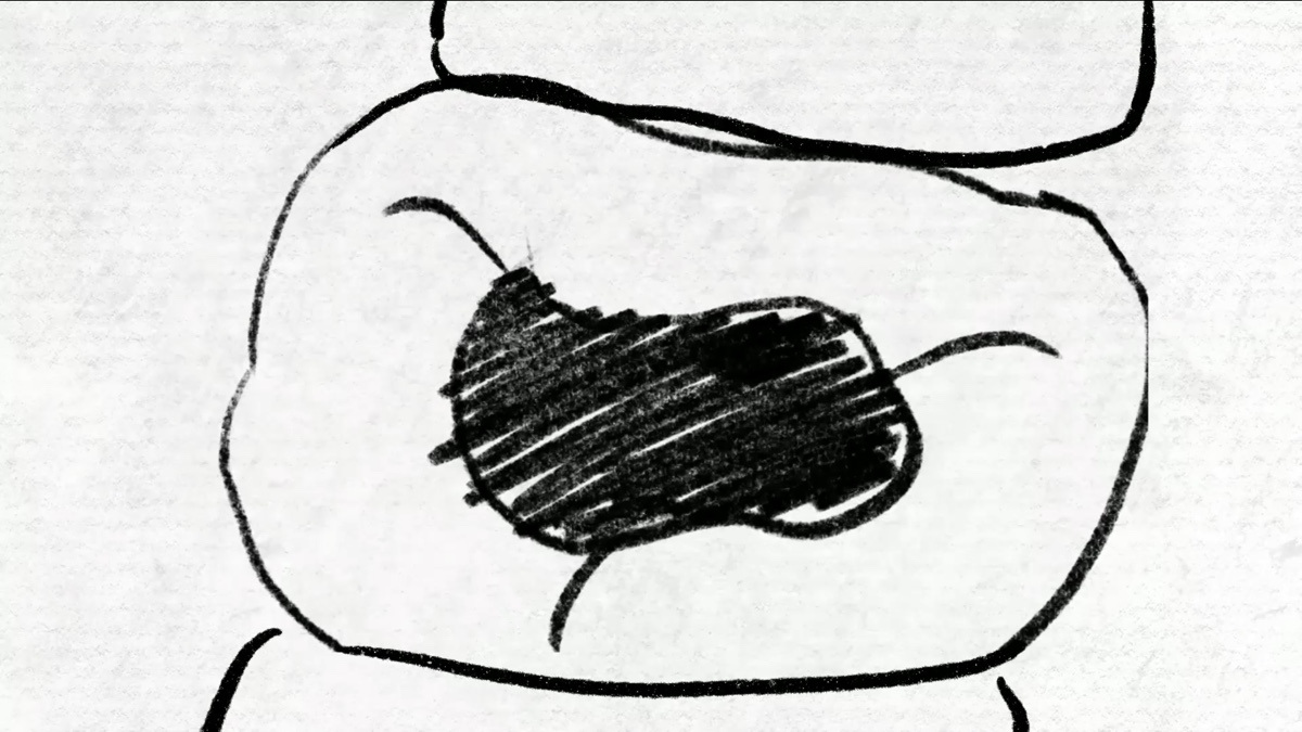 学生设计作品