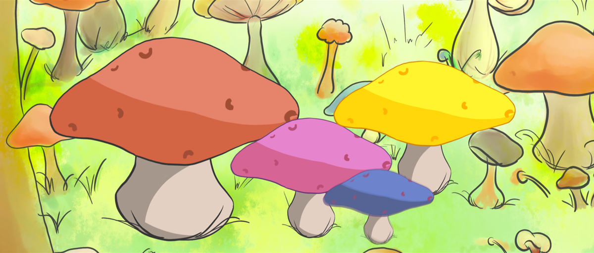 学生设计作品