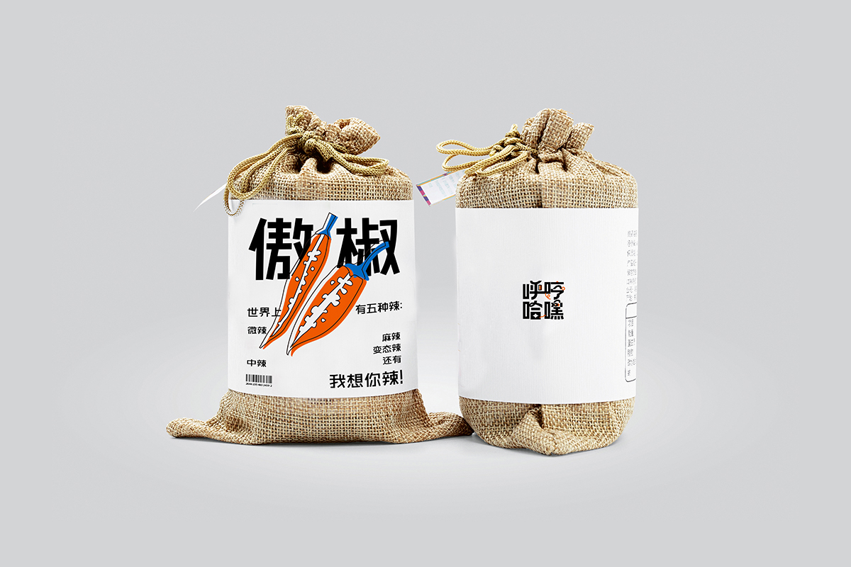 学生设计作品
