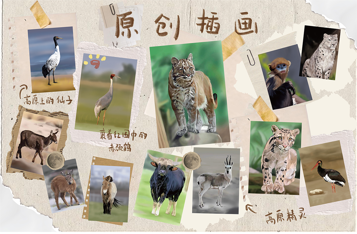 学生设计作品