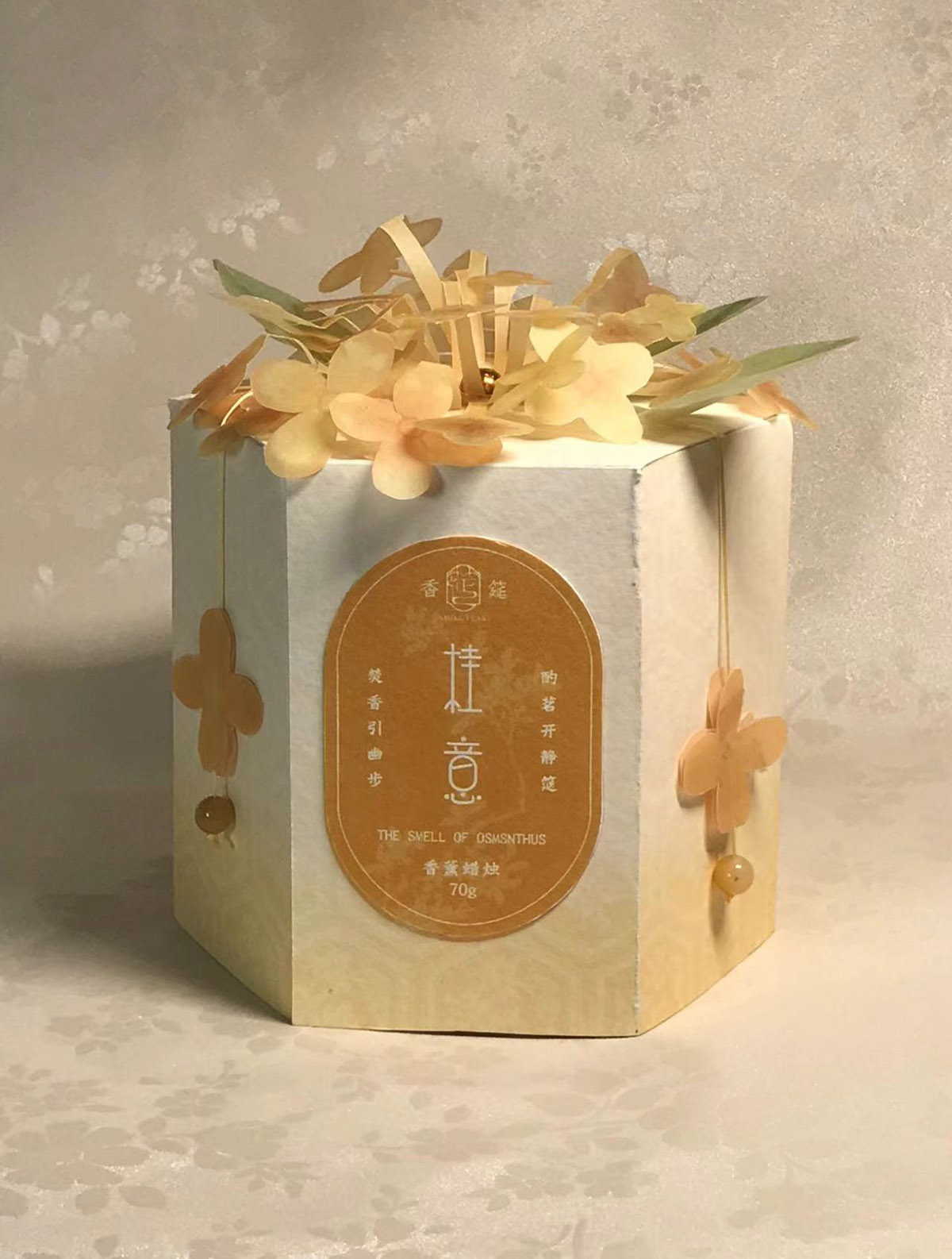 学生设计作品