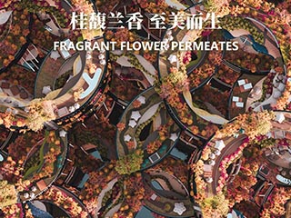 桂馥兰香 至美而生——高密度城市蔓延背景下的建筑空间设计