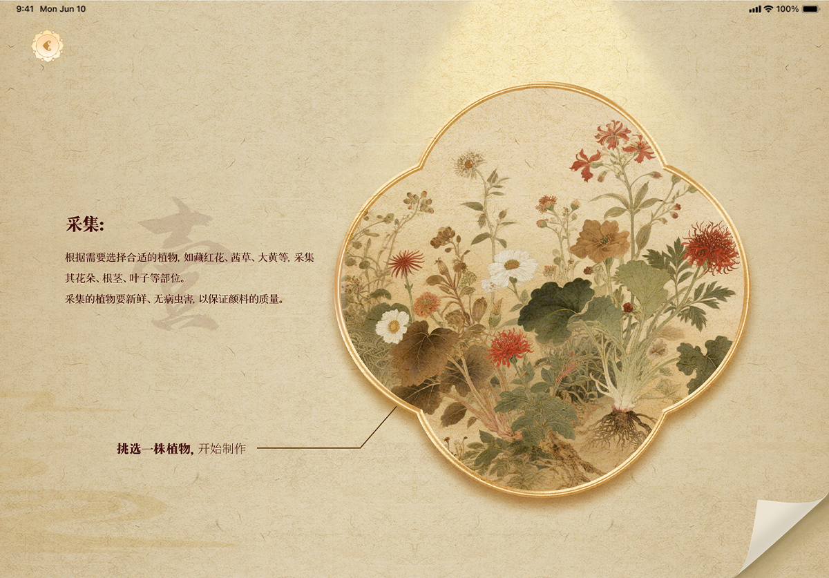 学生设计作品
